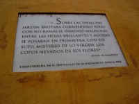 /album/fotogaleria-oferta/a3007510411-35544ceb8a-jpg/