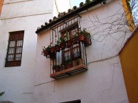 /album/fotogaleria-oferta/a3007510419-4dde65e1db-jpg/