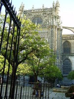 /album/contacto/a3010661444-608893569d-jpg/