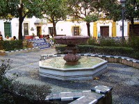 /album/contacto/a3016290132-68f635117e-jpg/